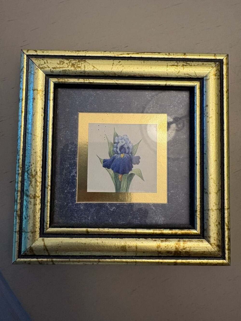 Pretty Petal Collectibles Iris I Framed Print by Kathy Seek Heartfelt Collection